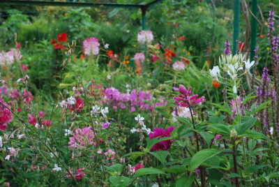 Massif d'été à Giverny
