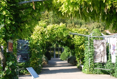 Expo Monet à Giverny