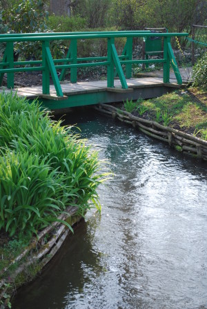 Le Ru, Giverny