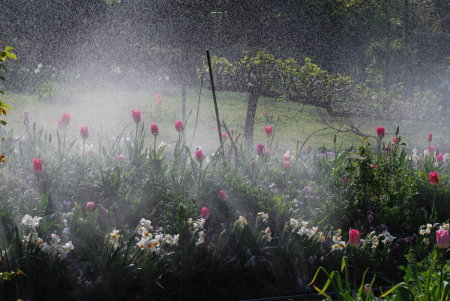 arrosage, jardin de Monet