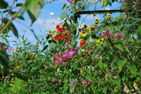Giverny, fin d'été