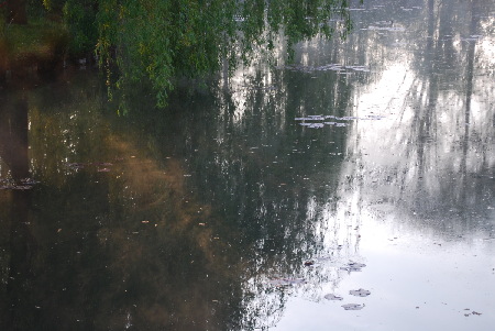 Lever du jour à Giverny