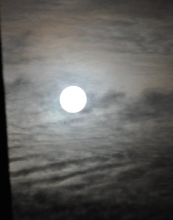 Clair de lune à Giverny