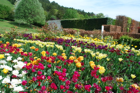 Musée des Impressionnismes
