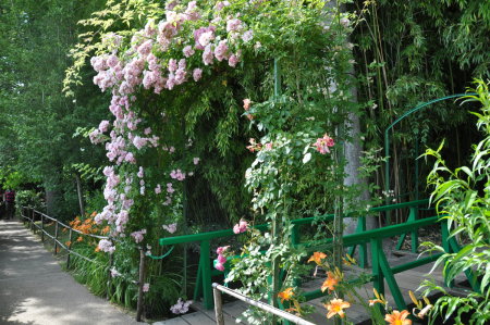 Portique d'entrée au jardin d'eau, Giverny