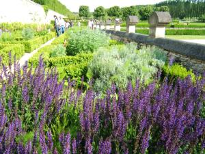 Jardin médiéval au château de Villarceaux