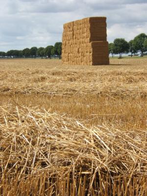 Meule de paille près d'Evreux