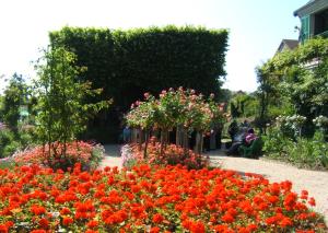 allée de tilleul